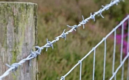 Barbed Wire